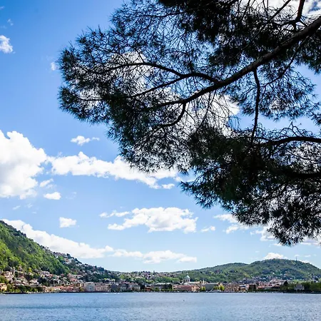 Apartament The Goose House *